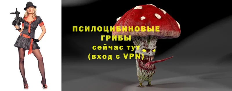 Галлюциногенные грибы Magic Shrooms  Данков 